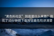 “黑色料社区”到底是什么来路？我花了10分钟把下载按钮最危险讲清楚
