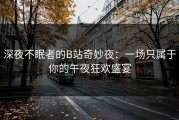 深夜不眠者的B站奇妙夜：一场只属于你的午夜狂欢盛宴