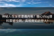 神秘人在深夜遭遇内幕？糖心Vlog爆料震撼全网，真相竟如此惊人！