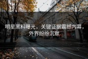 明星黑料曝光，关键证据震撼内幕，外界纷纷沉默
