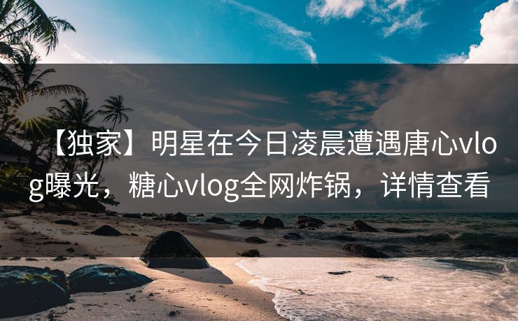 【独家】明星在今日凌晨遭遇唐心vlog曝光，糖心vlog全网炸锅，详情查看