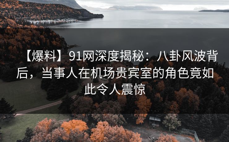 【爆料】91网深度揭秘：八卦风波背后，当事人在机场贵宾室的角色竟如此令人震惊