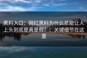 黑料入口：网红黑料为什么总能让人上头到底是真是假？：关键细节在这里