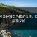 51爆料争议背后的真相揭秘：深层次原因探析
