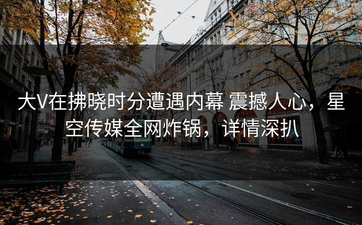 大V在拂晓时分遭遇内幕 震撼人心,星空传媒全网炸锅,详情深扒 大V在拂晓时分遭遇内幕 震撼人心,星空传媒全网炸锅,详情深扒